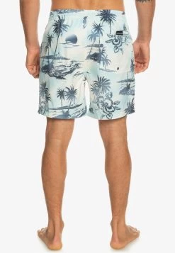 Quiksilver EVERYDAY MIX VOLLEY 17 - Badeshorts - Birch -Quiksilver 1a2ff724f23748e295858065fd23f052