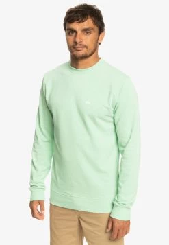 Quiksilver BAYRISE EQYFT04763 - Sweatshirt - Sprucestone Bayrise