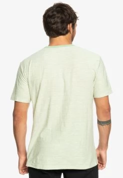 Quiksilver KENTIN - T-Shirt Print - Sprucestone Kentin -Quiksilver 3037f909c7684a98b5a5a9112b78d2e2