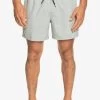 Quiksilver EVERYDAY DELUXE VOLLEY - Badeshorts - Sleet Heather -Quiksilver 405294aff75a4f2b86ef321582eedf28