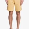 Quiksilver ESSENTIALS - Shorts - Rattan