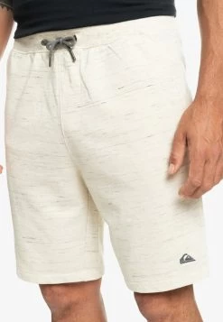 Quiksilver BAYRISE - Shorts - Birch Bayrise -Quiksilver 61dbca9e1dd84092972e253bd06a764c