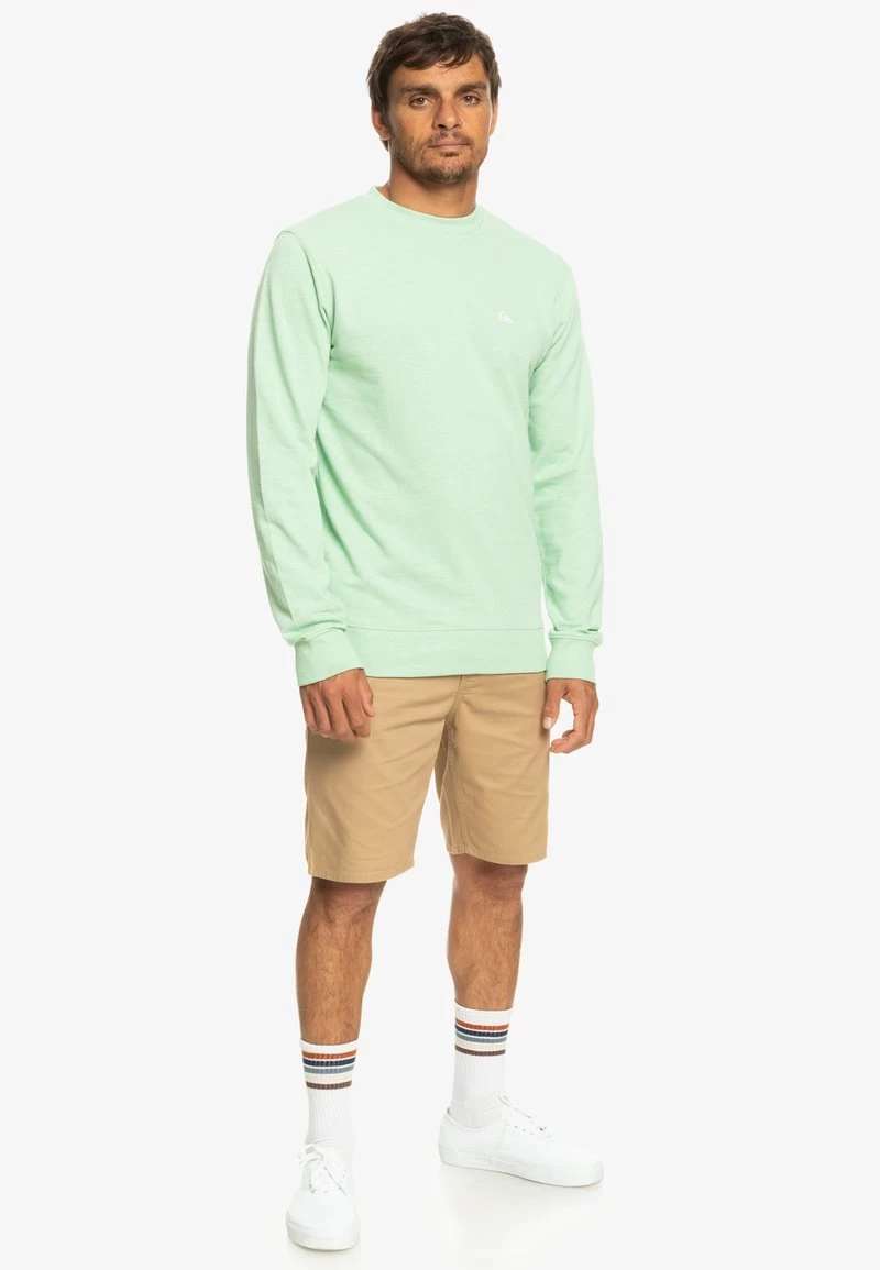 Quiksilver BAYRISE EQYFT04763 - Sweatshirt - Sprucestone Bayrise 4 Quiksilver BAYRISE EQYFT04763 - Sweatshirt - Sprucestone Bayrise – Bild 2