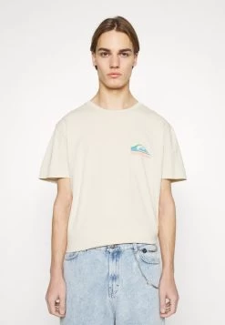 Quiksilver PASTIME PARADISE - T-Shirt Print - Birch