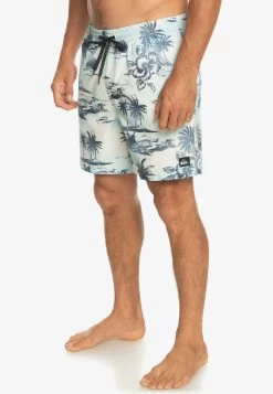 Quiksilver EVERYDAY MIX VOLLEY 17 - Badeshorts - Birch -Quiksilver 8ec386b544dd4ffd90b9f0c38ec546b4