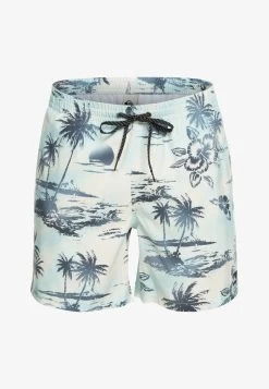 Quiksilver EVERYDAY MIX VOLLEY 17 - Badeshorts - Birch -Quiksilver 9d508d1b5e634eebb6c82b180f7f1e9d 1