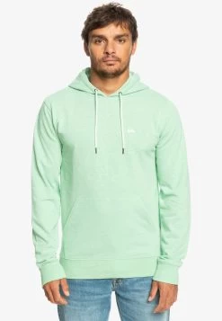 Quiksilver BAYRISE - Kapuzenpullover - Sprucestone Bayrise