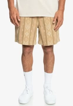 Quiksilver TAXER - Shorts - Brown