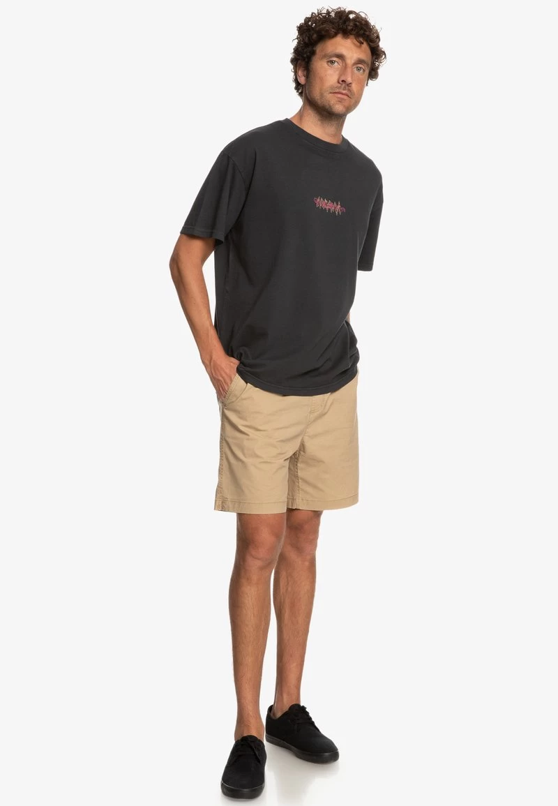 Quiksilver COLOUR FLOW SS - T-Shirt Print - Black 4 Quiksilver COLOUR FLOW SS - T-Shirt Print - Black – Bild 2