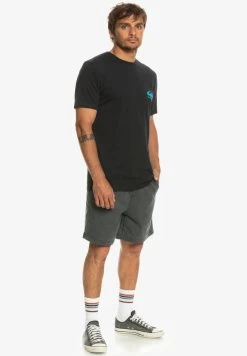 Quiksilver NICE DAYS SS - T-Shirt Print - Black -Quiksilver be107c6c47a3426caa772c48464e59dc