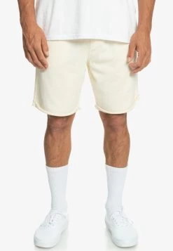 Quiksilver TRIP AWAY - Shorts - Birch