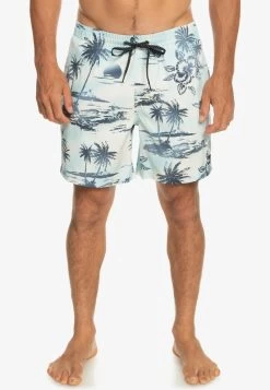 Quiksilver EVERYDAY MIX VOLLEY 17 - Badeshorts - Birch