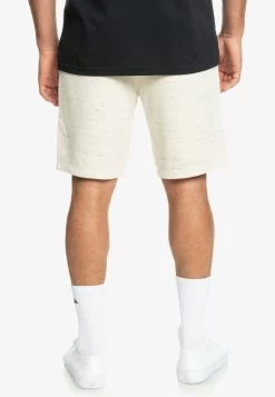 Quiksilver BAYRISE - Shorts - Birch Bayrise -Quiksilver cca3b62517ef4c1da2846ffad0a1044c