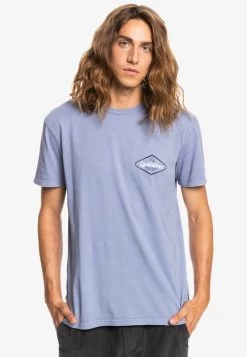 Quiksilver STIR IT UP MANCHES COURTES POUR EQYZ - T-Shirt Print - Chipmunk -Quiksilver d0f81e9d94ab4cf7aef10400edf3d845