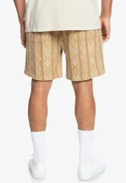 Quiksilver TAXER - Shorts - Brown -Quiksilver d5b8eac973cc4bf3bb2df4d6d93367e5