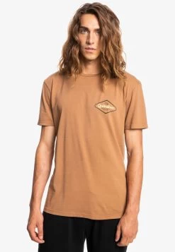 Quiksilver STIR IT UP MANCHES COURTES POUR EQYZ - T-Shirt Print - Chipmunk -Quiksilver dbd81936a6a641adb1e8b6895c254065 1