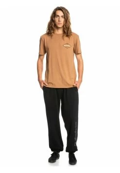 Quiksilver STIR IT UP MANCHES COURTES POUR EQYZ - T-Shirt Print - Chipmunk -Quiksilver fda170007d7044b89e1f797e4b628fda